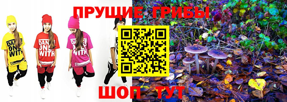 Барнаул  где можно купить наркотик  Галлюциногенные грибы Psilocybe  Вход с VPN  Псилоцибиновые грибы MAGIC MUSHROOMS 