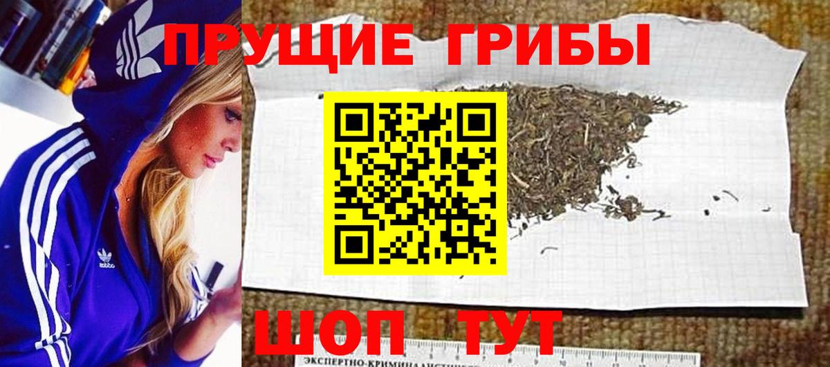 Псилоцибиновые грибы мухоморы Барнаул